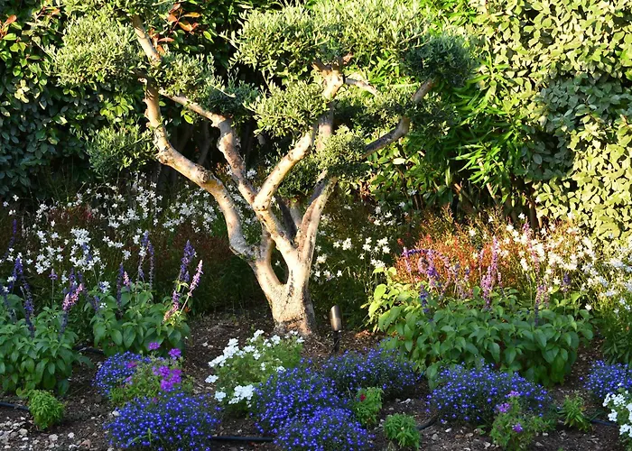 Alivi Di Santa Giulia 4* 维琪奥港