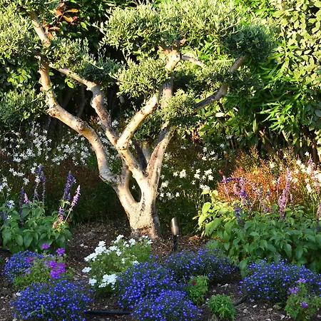 Alivi Di Santa Giulia 4* Порто-Веккіо