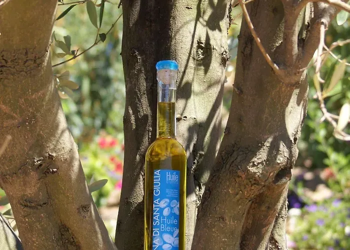 Hotel Hotel Alivi Di Santa Giulia